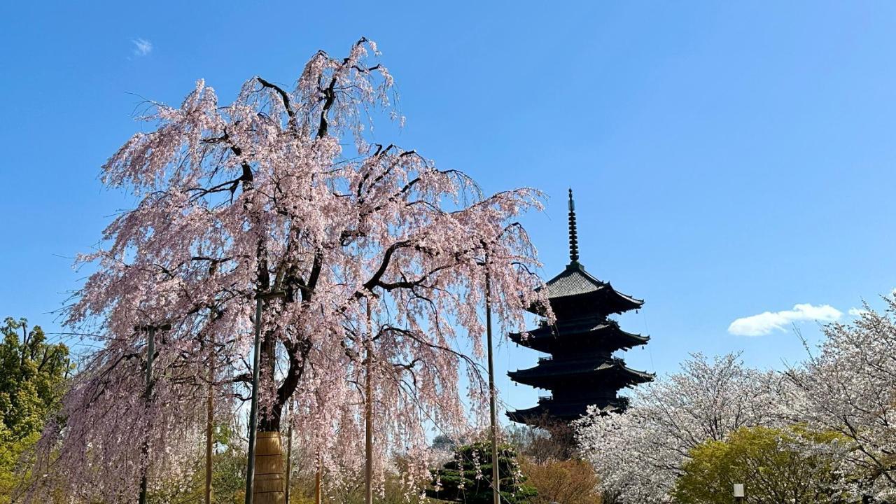 Kyoto Toka Inn京都東華inn Zewnętrze zdjęcie